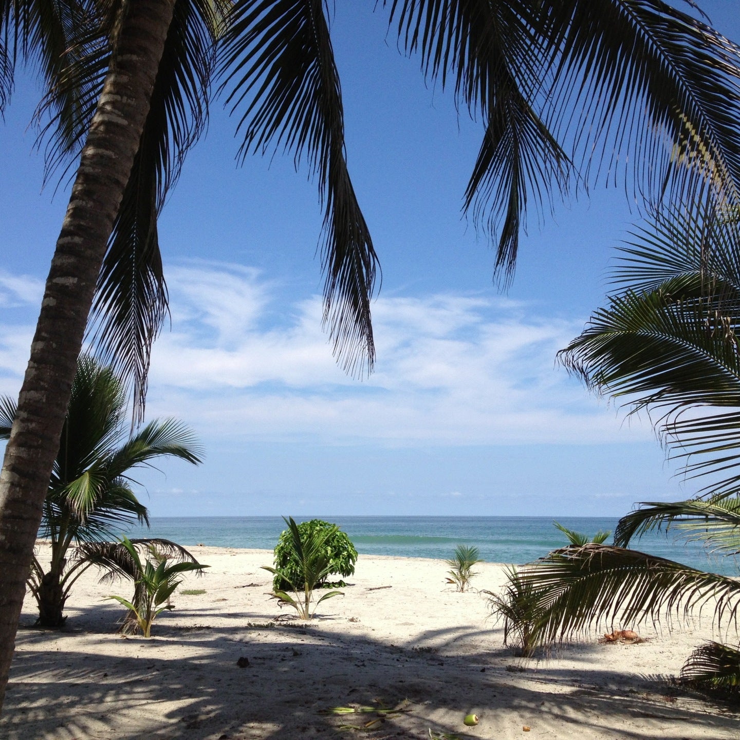 The 15 best boutique hotels in Tayrona National Park BoutiqueHotel.me