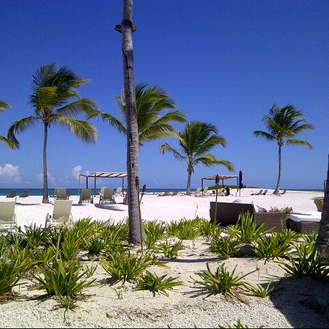 REVIEW 1ST TIME PUNTA CANA visual data 2