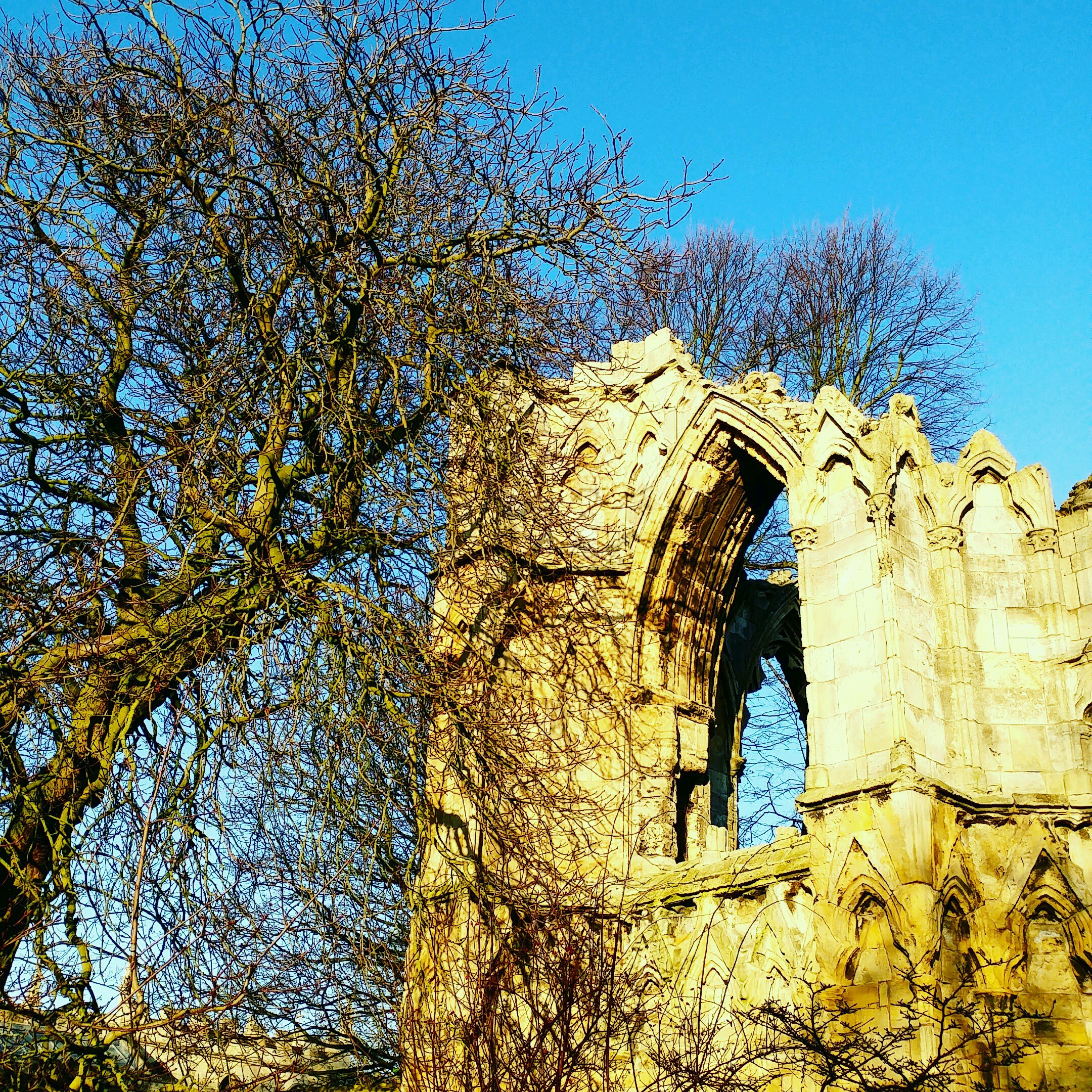 The 20 best Bed and Breakfasts in York