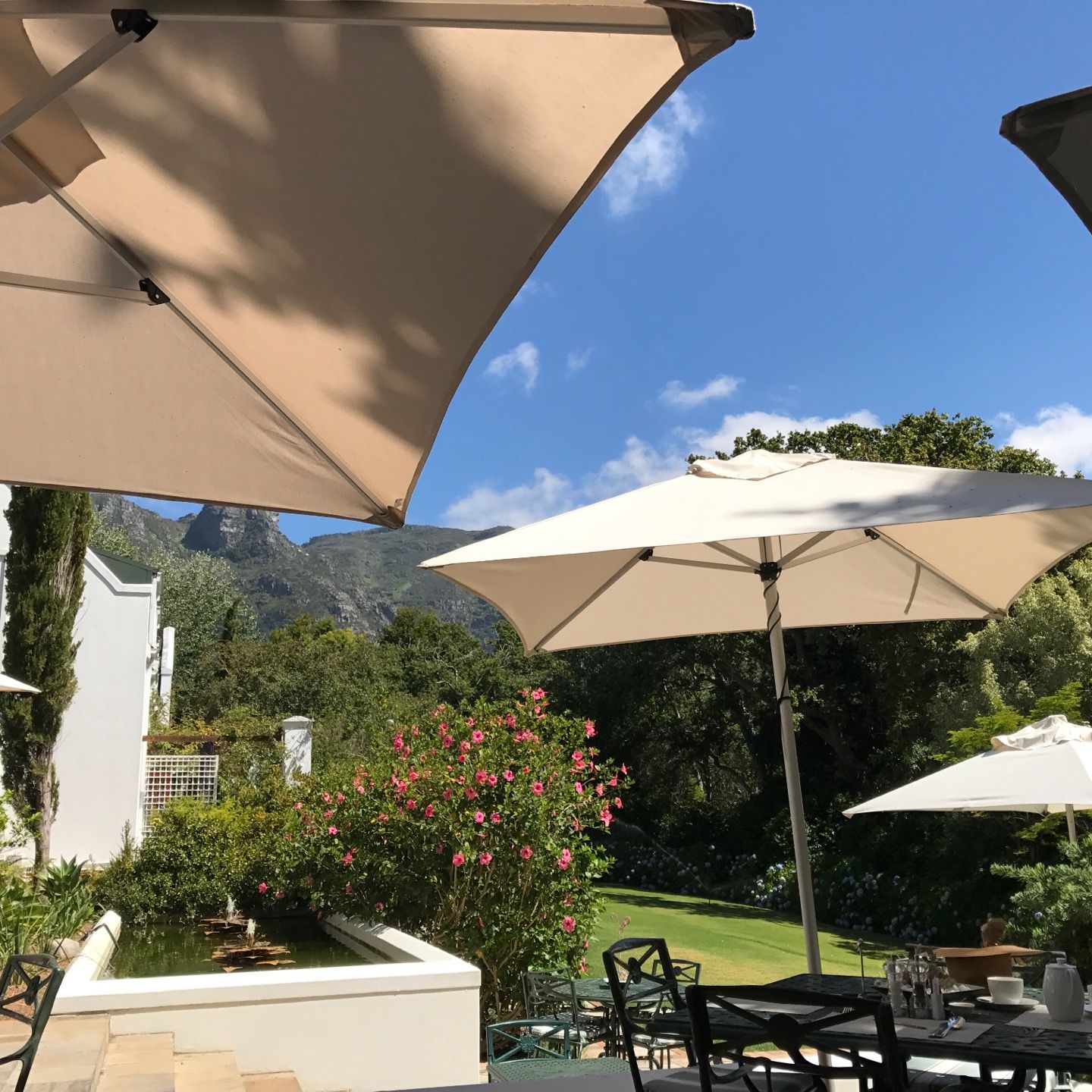 The 20 best Bed and Breakfasts in Cape Town