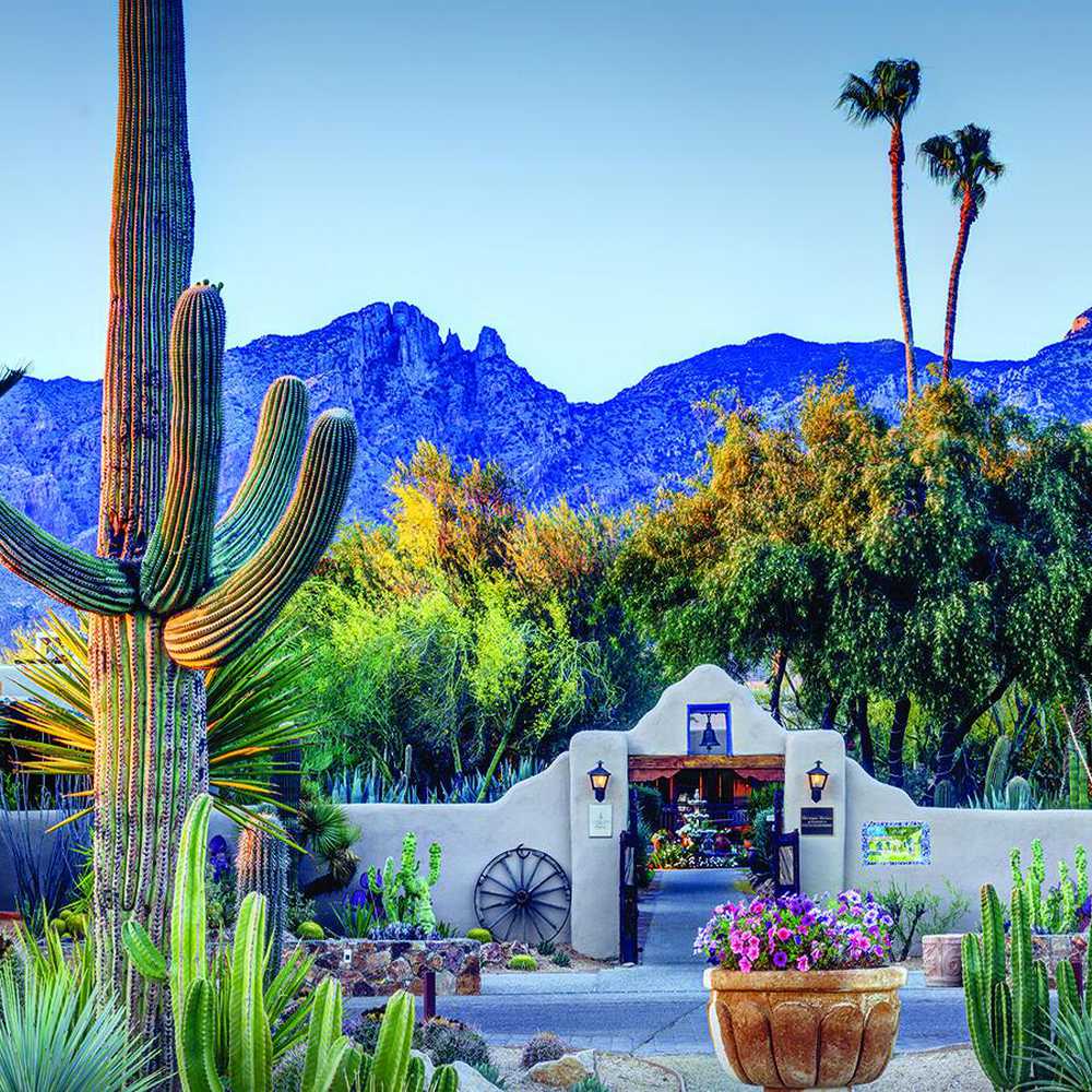 The 14 best boutique hotels in Tucson BoutiqueHotel.me